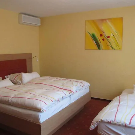 Gaestehaus Wagner Guest house Bad Krozingen